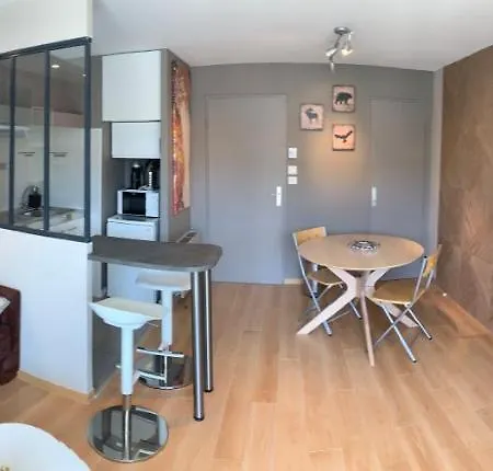 Apartment Boost Your Immo Les 2 Alpes La Vallee Blanche 159